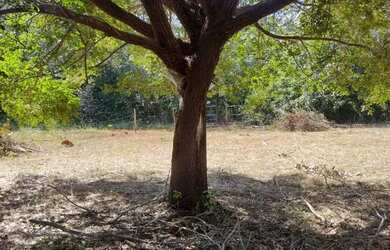 Imagem 3: Chácara Chácara com venda por R$35.000