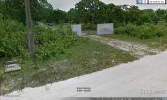 Imagem 5: Fazenda de caju / uruau