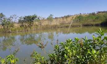 Imagem 7: Chácara para Venda em Santo Antônio do Descoberto, Centro, 4 dormitórios, 3 banheiros