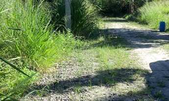 Imagem 3: Lote de 375 metros nos Cajueiros - Itaipuaçu!!!