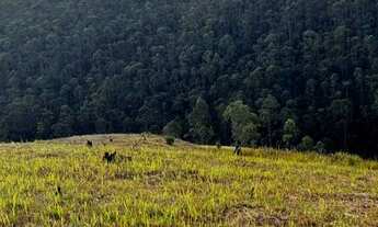 Imagem 2: Vendo terreno de 1000m² em Mairiporã