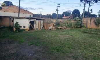 Imagem 7: BALSA NOVA - Casa Padrão - Bugre