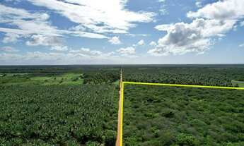 Imagem 5: Área à venda, 340000 m² por R$ 977.000,00 - Touros - Touros/RN