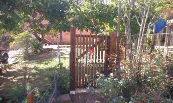 Imagem 2: Terreno com muito verde e Fonte de Agua