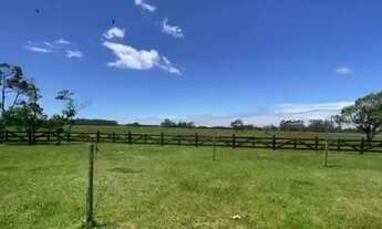 Imagem 3: Fazenda a venda!!