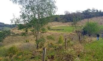 Imagem 5: Chácara em Cantagalo