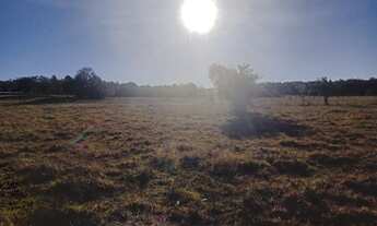 Imagem 5: Lotes vários tamanhos e localizações