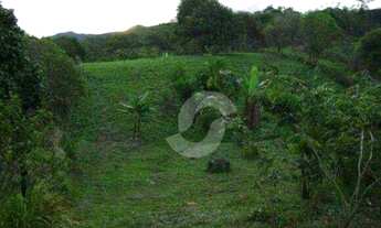 Imagem 4: Terreno à venda, 15481 m² por R$ 1.200.000,00 - Pindobas - Maricá/RJ