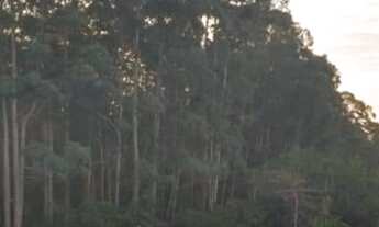 Imagem 6: Belíssimo Terreno Plano no Residencial das Ilhas