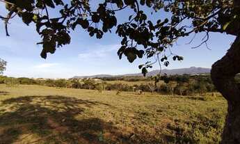 Imagem 4: CHACARAS EM IGARAPÉ 1.000 mt². De $49 a $65mil.FINANCIAMENTO DIRETO COM PROPRIETÁRIO