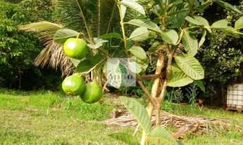 Imagem: Anápolis - Chácara - Área Rural de Anápolis