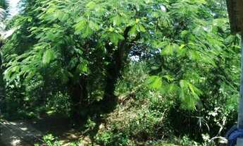 Imagem 2: Mini Sítio Chácara com venda por R$160.000