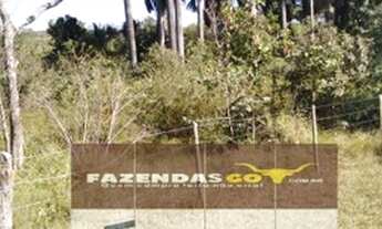 Imagem 7: Fazenda de 20 Alqueires ! Região de Aragoiania ! Oportunidade !