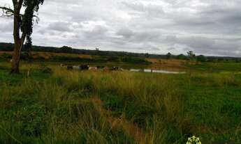Imagem 5: Fazenda para pecuária à venda, 870 Hectares em Miracema do Tocantins/TO