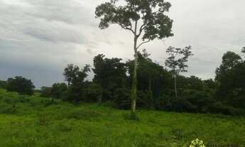 Imagem 7: Fazenda à venda, 1.800 Hectares em Dueré do Tocantins