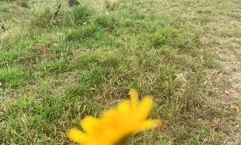 Imagem 5: Lote/ Terreno em condomínio para venda com 1000 metros quadrados em Centro - Mairiporã - S