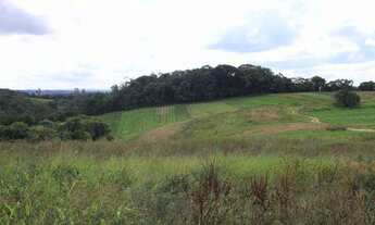 Imagem 3: Ótimo lote na cidade de cotia venha conferir