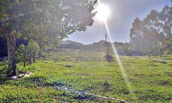 Imagem 3: Excelente sítio com 7 hectares em IMARUÍ -SC
