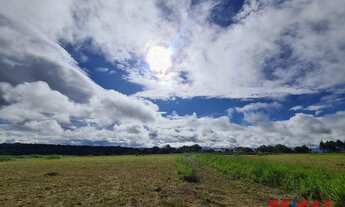 Imagem 2: Mandarim Chapada Terreno com 360 metros
