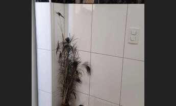 Imagem 4: Apartamento com 3 dormitórios à venda, 84 m² por R$ 530.000,00 - Condomínio Quinta das Jab