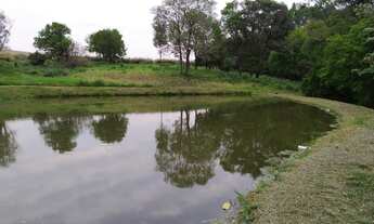 Imagem 6: 10.5 alq. Com 9.3 mecanizado em Sta Tereza