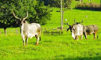 Imagem 3: Fazenda à venda, 7018000 m² - Chácaras Bauruenses - Bauru/SP