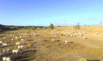 Imagem 7: Fazenda à venda, 3.458 Hectares em Pium/TO