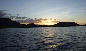 Imagem 6: Excelente Fazenda próxima a Maranguape 80 hectares - muita água - documentação ok