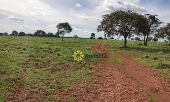 Imagem 7: Fazenda à venda, 660 Hectares em Cristalândia do Tocantins