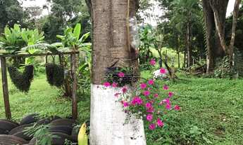 Imagem 4: UBERLâNDIA - Chácara - MIranda 3