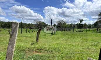 Imagem 6: Fazenda com dupla aptidão e ótimo preço