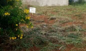 Imagem 2: Lote VL mangoline