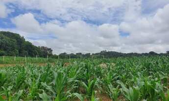 Imagem 2: Lote/Terreno para venda com 2000, metros quadrados em Estação - Araucária - Paraná