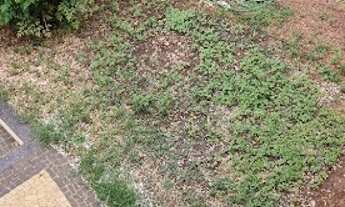 Imagem 7: Casa com 4 dormitórios, 316 m² - venda por R$ 1.100.000,00 ou aluguel por R$ 4.500,00 - Ja