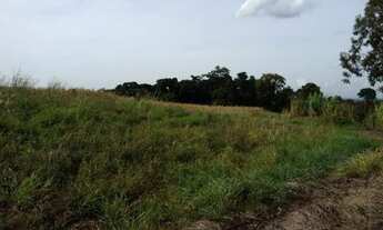 Imagem 2: Sítio 4 Alqueires em Maringá- Próximo ao Porco no Taxo - São Domingos Estrada Centenário