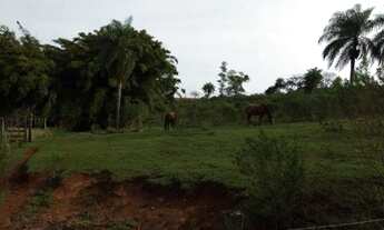 Imagem 4: Sítio 4 Alqueires em Maringá- Próximo ao Porco no Taxo - São Domingos Estrada Centenário