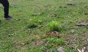 Imagem 3: Terreno à venda, 18212 m² na Encantada - Garopaba/SC