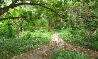 Imagem: Sítio no Panaquatira