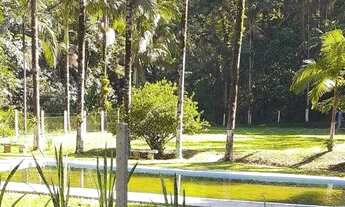 Imagem 6: SÍTIO no VILA NOVA com 3 quartos para VENDA, 40000 m²