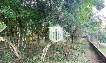 Imagem 5: Terreno à venda, 981 m² por R$ 420.000 - Farroupilha - Ivoti/RS