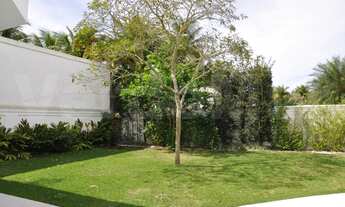 Imagem 6: Avenida Alvaro Jose Rodrigues Valente