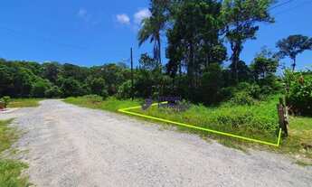 Imagem 2: Terreno à venda, 393 m² por R$ 70.000,00 - Brandalize - Itapoá/SC