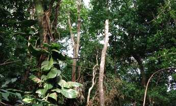 Imagem 6: Lote para Venda no Jardim Santana