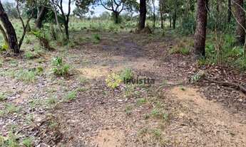 Imagem 3: Fazenda aberta à venda 350 Hectares em Paraíso do Tocantins/TO
