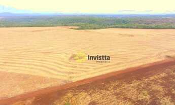 Imagem 3: Fazenda plantando em Paraíso do Tocantins/TO