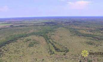 Imagem 7: Fazenda à venda, 4.000 Hectares em Goianorte/TO
