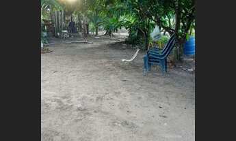 Imagem 2: Vende se chácara na vila central