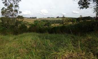 Imagem 7: Sítio 4 Alqueires em Maringá- Próximo ao Porco no Taxo - São Domingos Estrada Centenário