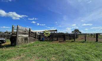 Imagem 2: Fazenda à venda, 1820 Ha em Divinópolis do Tocantins/TO