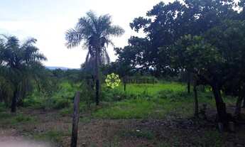 Imagem 7: Fazenda à venda, 720 Hectares em Abreulândia do Tocantins